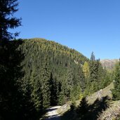 toblacher pfannhorn suedostseite herbst