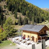 silvestertal silvesteralm herbst wald