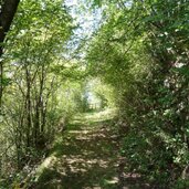 weg von mittermuehl nach teis villnoess