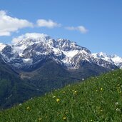 wiesen in talatsch sonnenberg dahinter jennwand