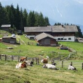 taistner alm