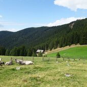 taistner alm wiesen fr