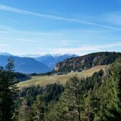 steinknott beimsteinkogel voeran