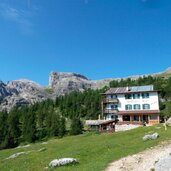 gardenaccia huette utia gardenacia