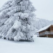 perlenweg am rosengarten winter huette