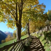 ultner hoefeweg bei kuppelwies herbst