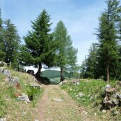 stundenweg oberhalb von laatsch