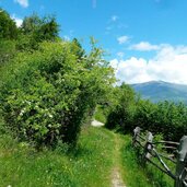 archaikweg bei prad am stilfserjoch