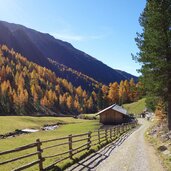 muehlbachtal huberalm