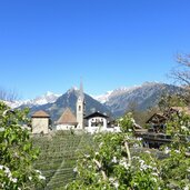 st georgen bei schenna apfelbluete