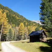 herbst muehlbachtal bei oberbacher alm