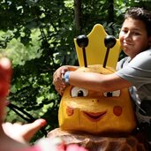 Bienenweg Trens Videothumb