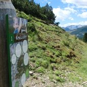 Urlesteig Sarntal Station Kreuzotter