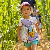 Corn Action Adventure Labyrinth 