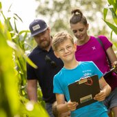 Corn Action Adventure Labyrinth 
