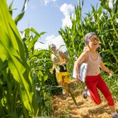 Corn Action Adventure Labyrinth 
