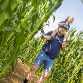 Corn Action Adventure Labyrinth 