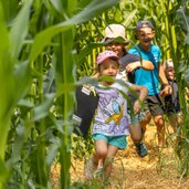 Corn Action Adventure Labyrinth 