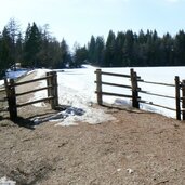 Felixer Weiher Deutschnonsberg P