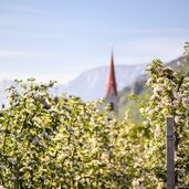 Fruehling