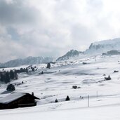 Goldknopf in lontananza