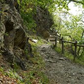 Herrschaftsweg DSC