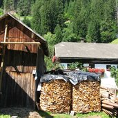 Holz in Weitental