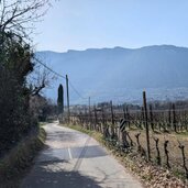 weg vom montiggler parkplatz ins dorf daneben weinreben