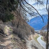aufstieg in den wald von mals im hintergrund sieht man den ortler