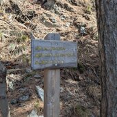 beschilderung der baumarten und pflanzen auf dem weg