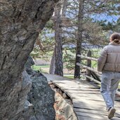 wir folgen den weg nr