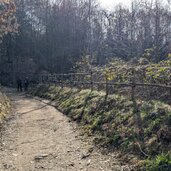 einige pflanzen erwachen schon vom winter beim fruehlingstal