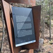 saagen auf dem weg zu den saligen frauen