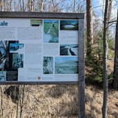 erklaehrung der waalwege in vinschgau und deren nutzen