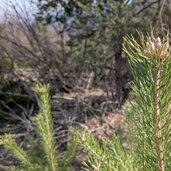 prader sand landschaft natur