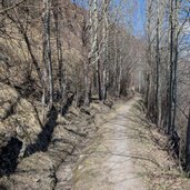wegverlauf am weg mit waal auf der linken seite
