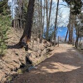 wanderweg mit blick auf den ortler im vinschgau