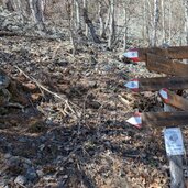 beschilderung an der kreuzung mit rueckweg oder alternativen weg zur haltestelle