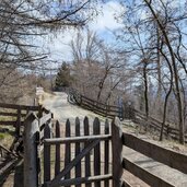 tor am waldstueck forststrasse