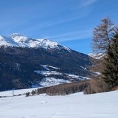 schneeblick im obervinschgau berg watles mit schnee