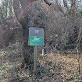 biotop montiggler wald fruehlingstal