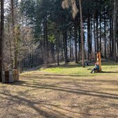 gruenes waldstueck beim fruehlingstal einige ruhen sich auf dem gruen aus
