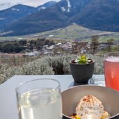 solis pflonzengorten eis nachspeisse mit fruchtsaft