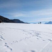 zwischen plawenn und den fischerhaeusern in der naehe des heidersees winterblick ueber schnee