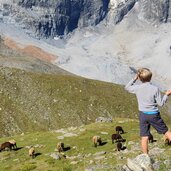 aussicht schaubachhuette zebru ortler koenigsspitze start wanderung