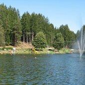 Issinger Weiher Springbrunnen Fontaene