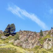 Langtaufers Gletscher
