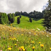 Latzfons Kassianspitze