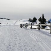 Luesner Alm P