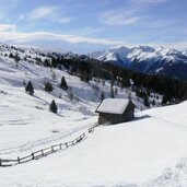 Luesner Alm P